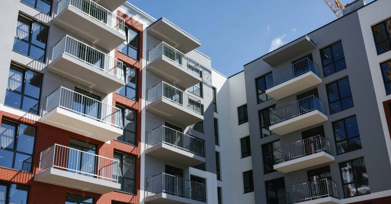 81